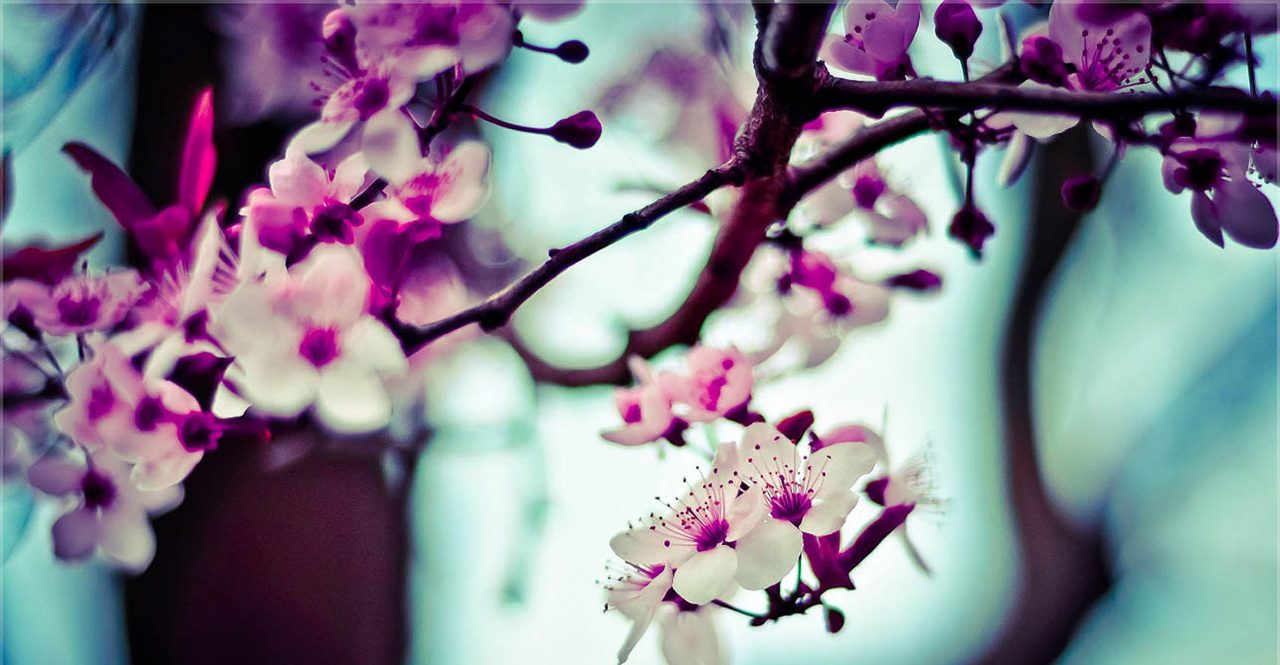 Empowerment 1 - Lesson 1